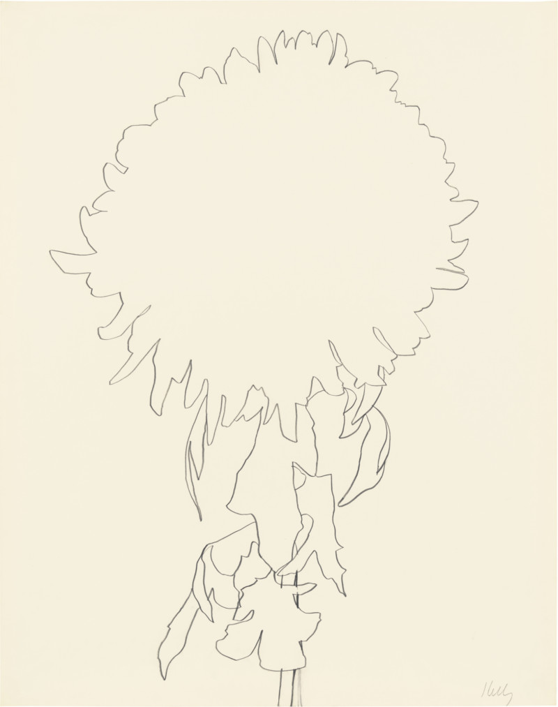 アート・デザイン・音楽 Ellsworth Kelly: Plant Drawings Ellsworth Kelly Plant Drawings — bookdummypress