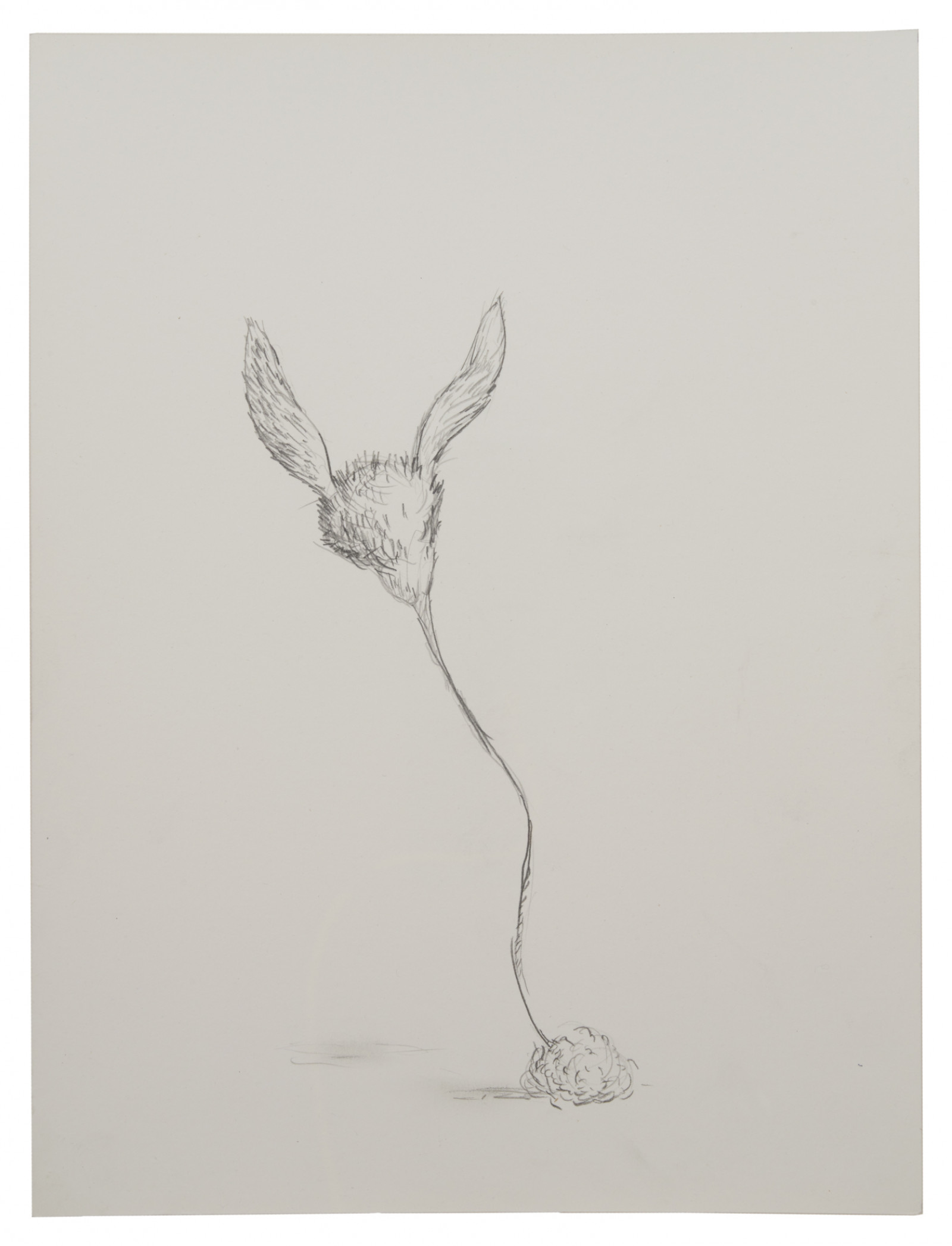 Drawing by Nayland Blake, , dated 1996–97