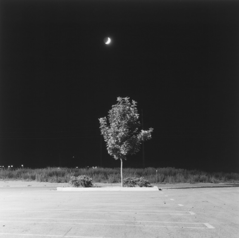 Fort Collins, Colorado, ROBERT ADAMS Summer Nights, Walking