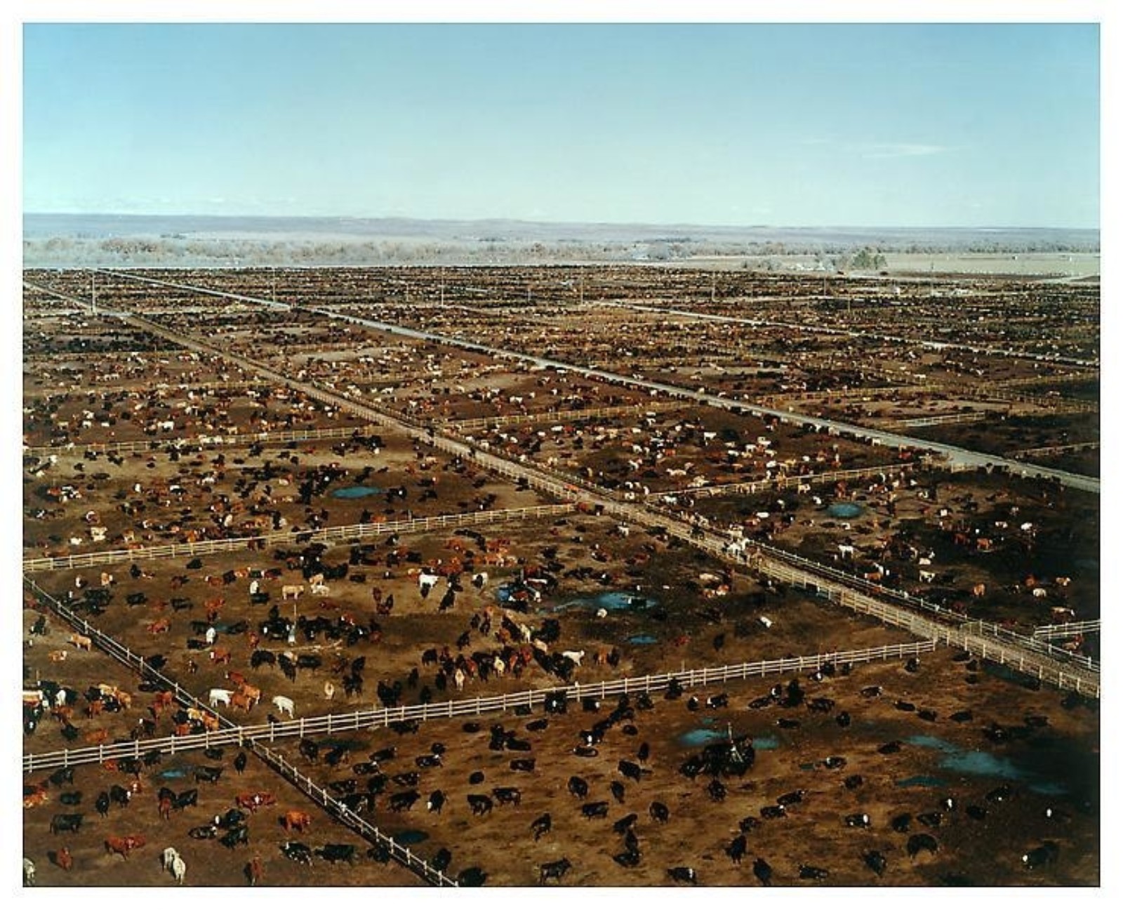 Greeley, ANDREAS GURSKY Matthew Marks Gallery