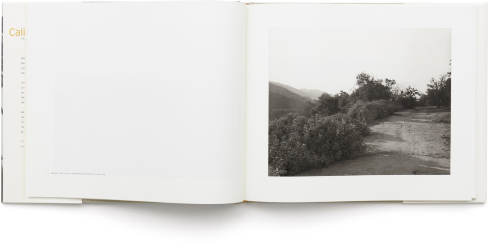 ROBERT ADAMS California | Matthew Marks Gallery