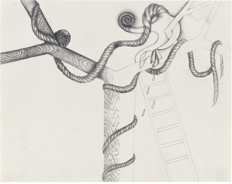 Rope Tree and Ladder IV, SUELLEN ROCCA Drawings Matthew Marks Gallery