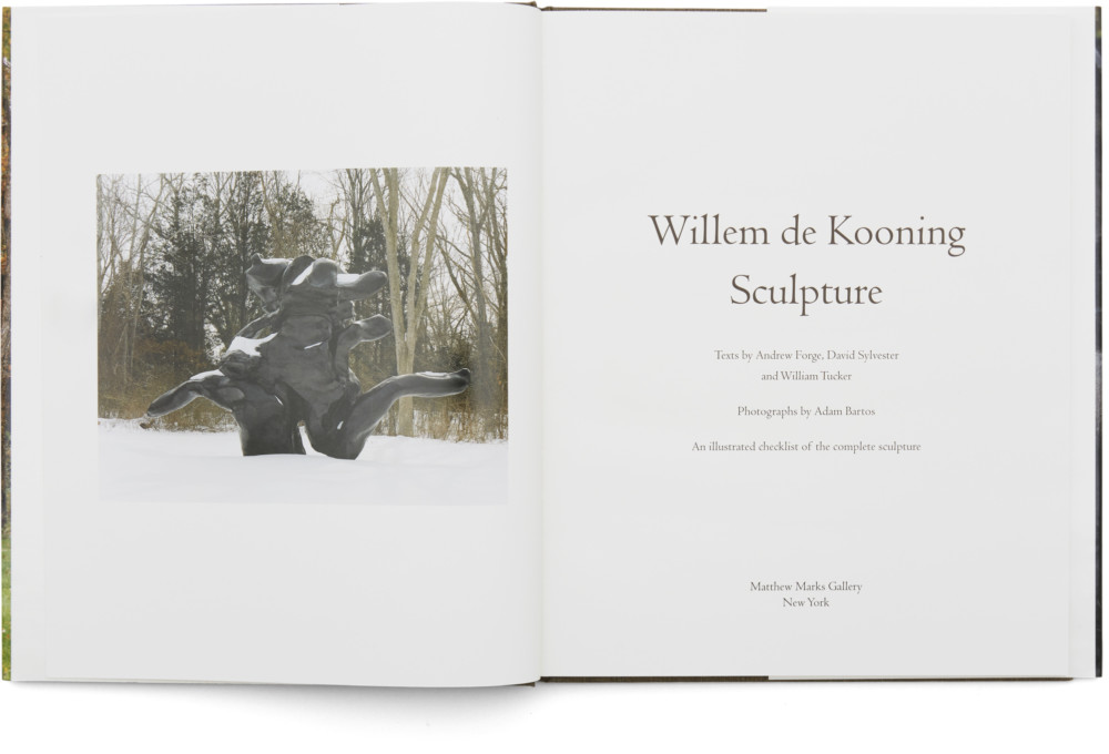 WILLEM DE KOONING Sculpture | Matthew Marks Gallery