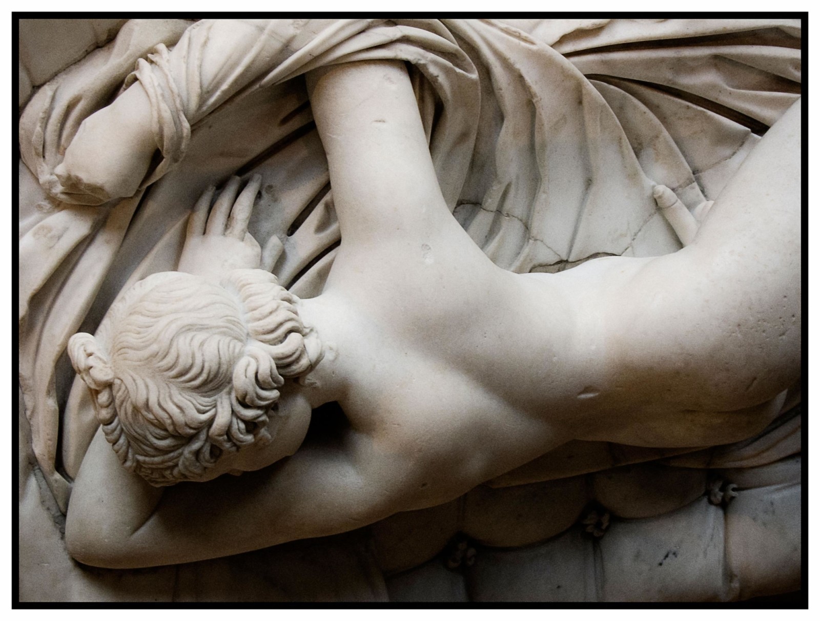 Hermaphrodite Gallery Hermaphrodite Gallery